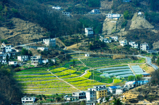 土壤墑情監(jiān)測系統(tǒng)在哪兒建站都行嗎？土壤墑情監(jiān)測系統(tǒng)的建站原則和選址要求
