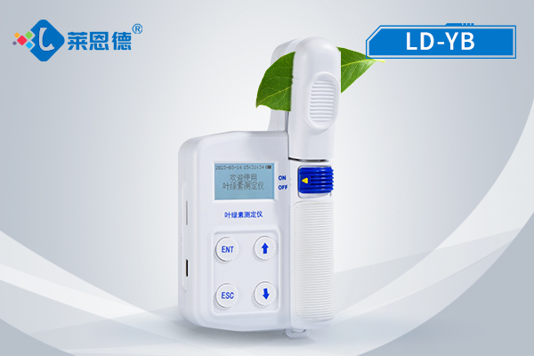 葉綠素檢測(cè)儀的實(shí)用意義：及時(shí)掌握綠素、葉面溫度等數(shù)據(jù)